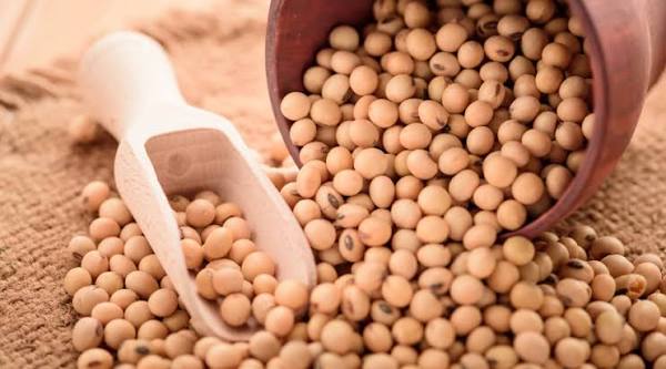 Agro Products